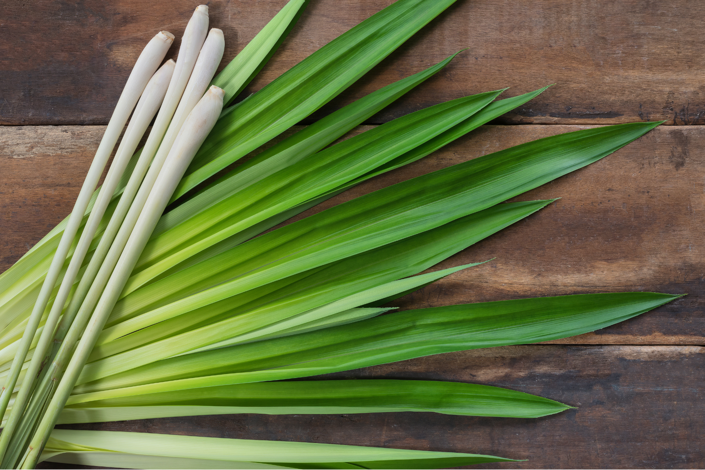 Lemongrass Tea - stress, anxiety, headaches, stomach pain, cholesterol, fevers, focus