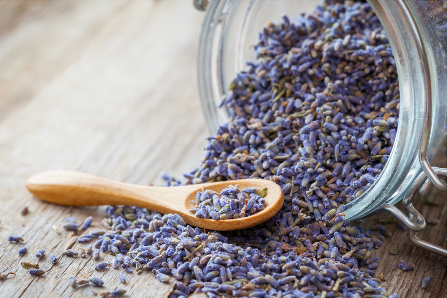 Lavender Tea - sleep, stress, anxiety, headaches
