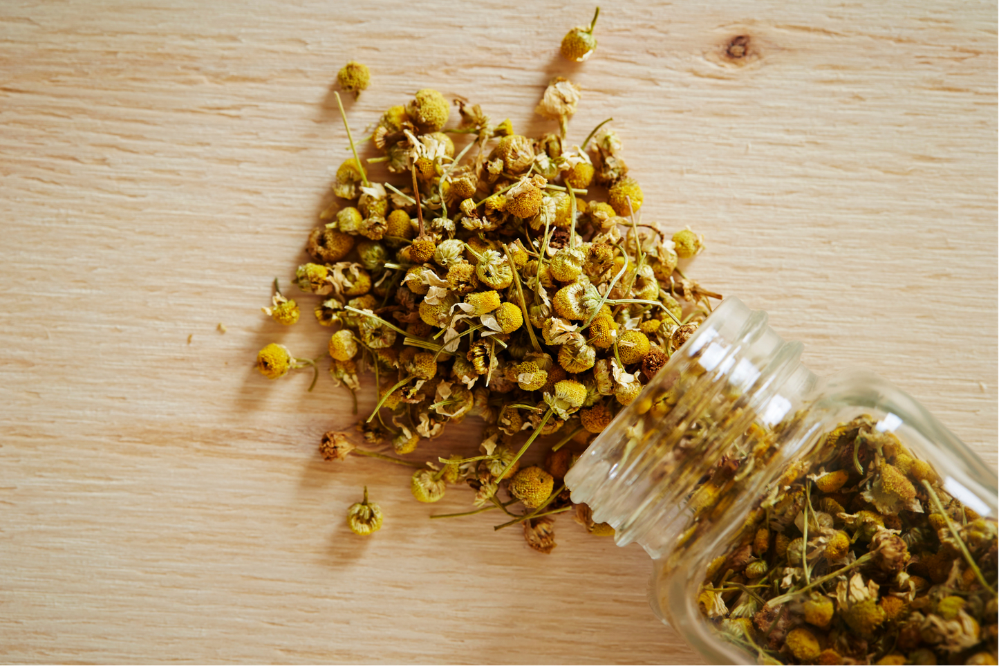 Chamomile Tea - sleep, stress, anxiety, headaches