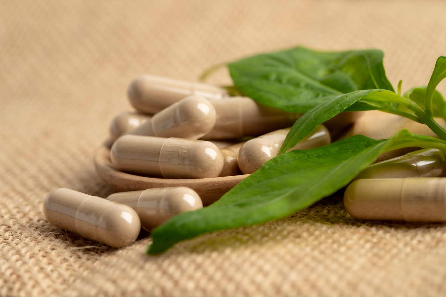 Sea Moss, Bladdewrack & Burdock Capsules - inflammation, joints, digestion, detoxifying, heart