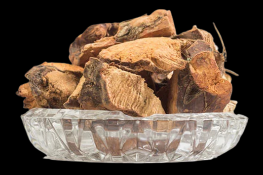 Chaney Root Tonic - Immune system, digestion, diabetes, blood pressure, inflammation