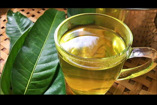 Mango Leaf Tonic - digestion, diabetes, blood pressure